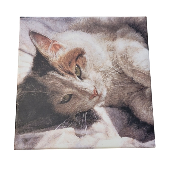 Bob's Boxes - Decorative Storage Box (Sunbathing Cat) - Picture 2 of 7